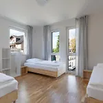 דירה T&k - Bergisch Gladbach - 7 Comfortable - 20 Min To Fair Messe
